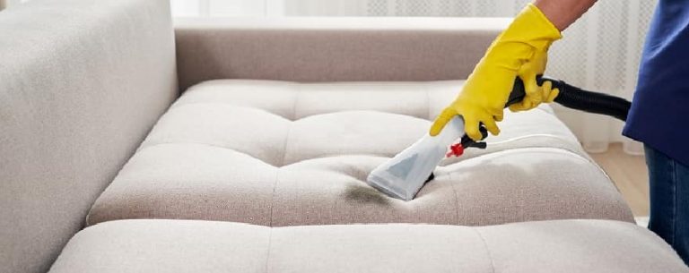 eco friendly couch cleaning