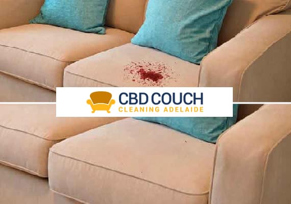 Couch Cleaning Service
