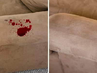 Couch Blood Stain Removal Service