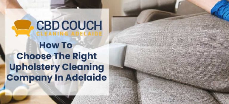 Upholstery Cleaning Company In Adelaide