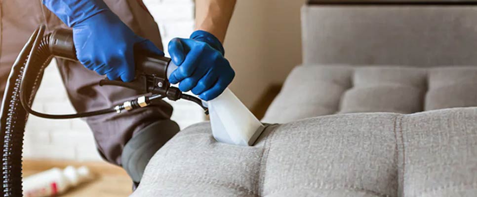 Couch Steam Cleaning Lockleys