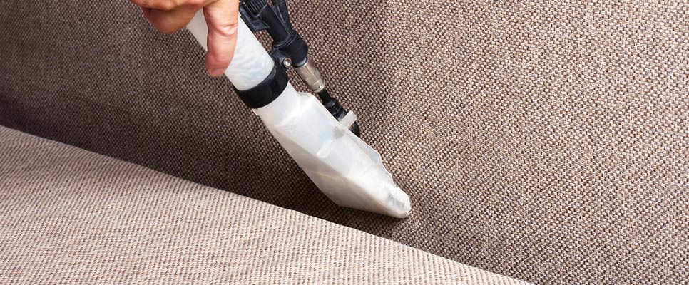 Professional Upholstery Cleaning Northgate