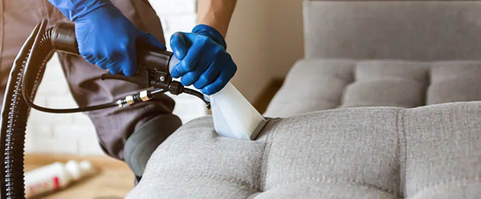 Upholstery Cleaning Glenelg