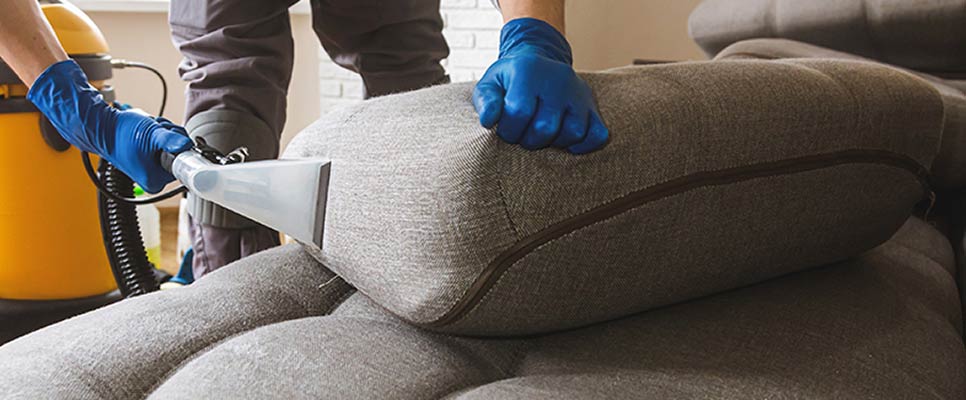 Upholstery Cleaning Magill
