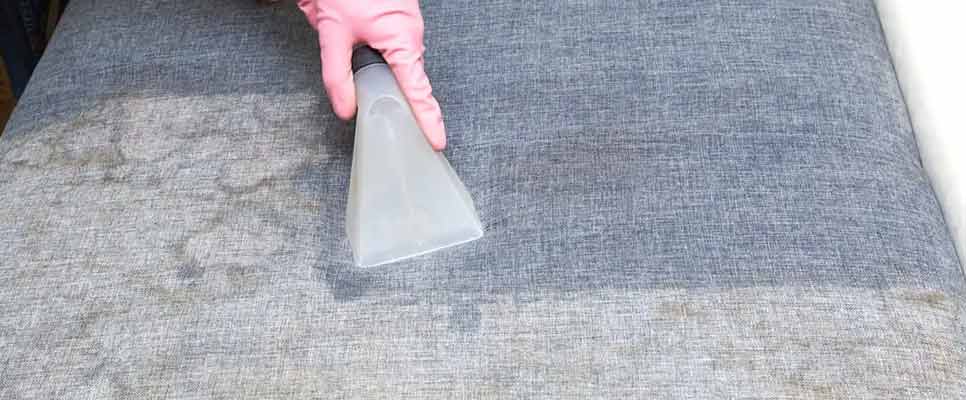 how-to-clean-poop-from-upholstery-cbd-couch-cleaning-adelaide